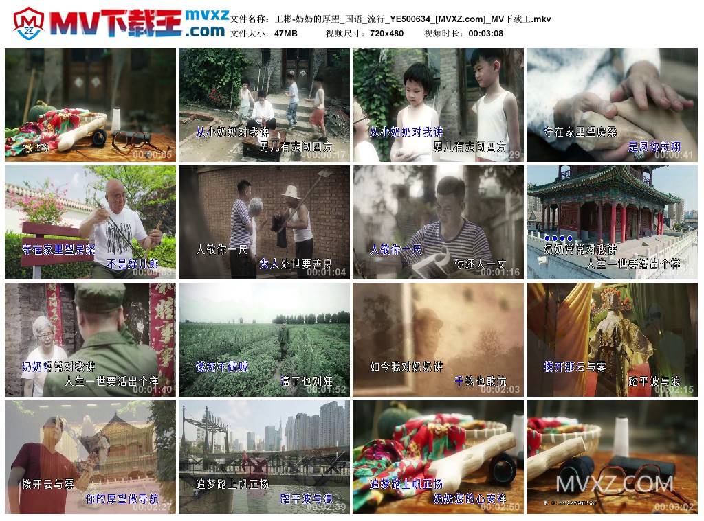 王彬-奶奶的厚望_国语_流行_YE500634